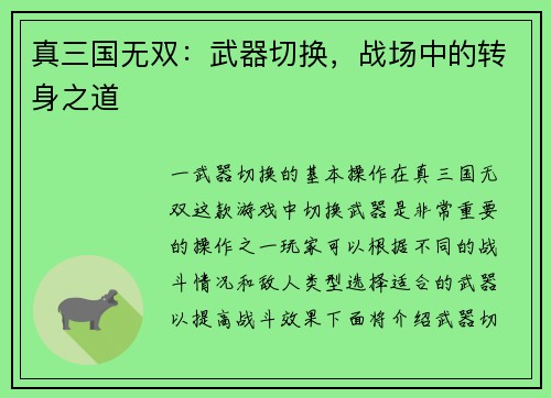 真三国无双：武器切换，战场中的转身之道