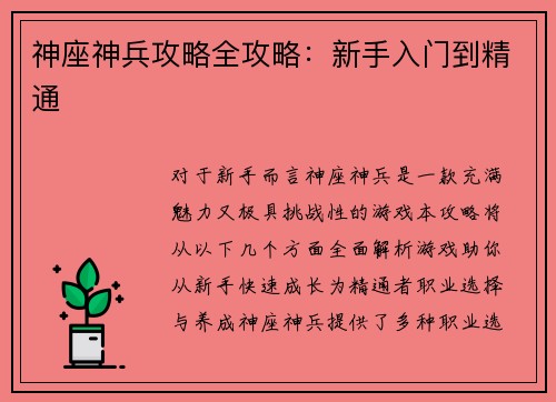 神座神兵攻略全攻略：新手入门到精通